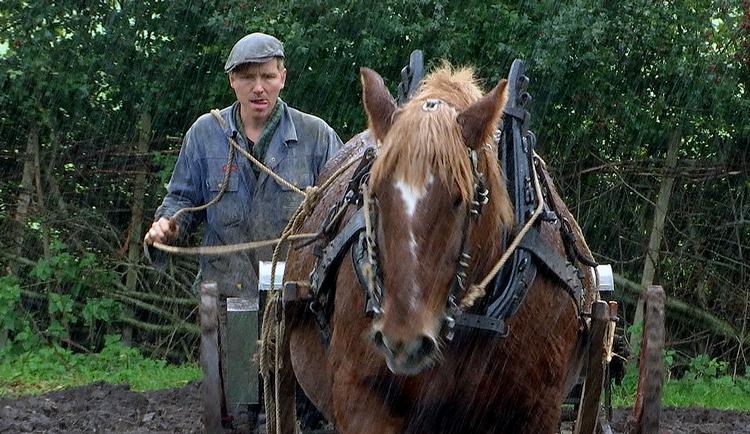 I solen går han bag sin plov eller noget tilsvarende nationalromantisk. Bonderøven er for længst blevet sit eget guldaldermaleri.  Foto: Peter Wath