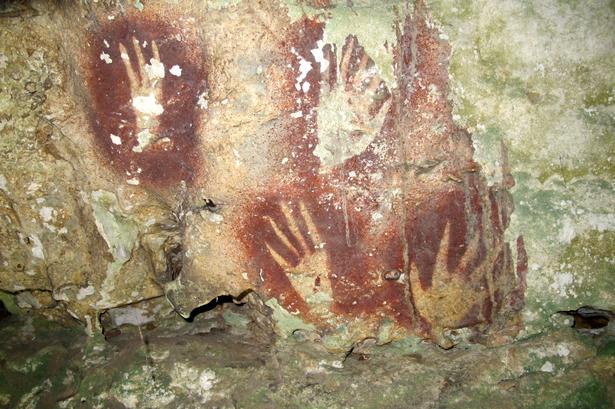 Foto: Southern Cross University