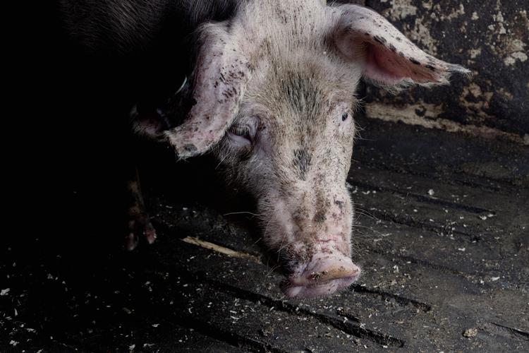 Foto: Katrine Hørup Noer