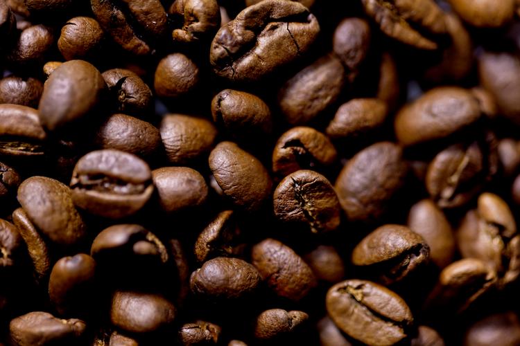 Der er overbevisende evidens for, at der ikke er sammenhæng mellem indtag af filterkaffe og udviklingen af forhøjet blodtryk, svarer Bente Klarlund Pedersen bl.a. i denne uges brevkasse. Foto: Finn Frandsen