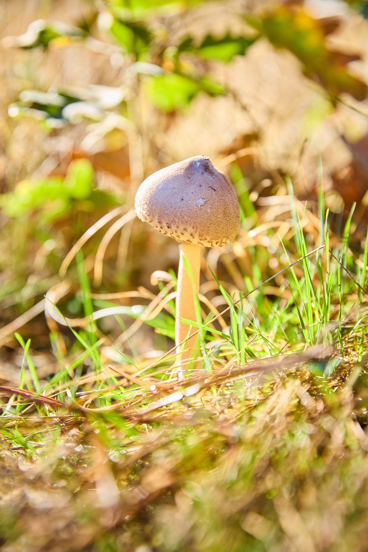 Foto: Mikkel Bækgaard