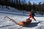 En skiløber bliver transporteret ned i 'bananen' efter en ulykke på skiferien (arkivfoto). Foto: Thomas Borberg
