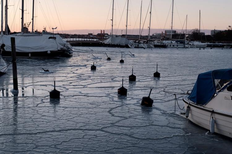 Det var hulens koldt ved Langelinie Havn i København tirsdag morgen. Ikke mindst på grund af vinden. Foto: Anders Legarth Schmidt