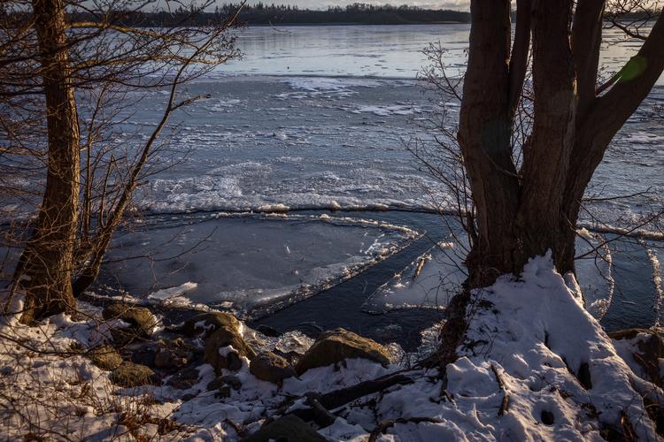 Foto: Miriam Dalsgaard