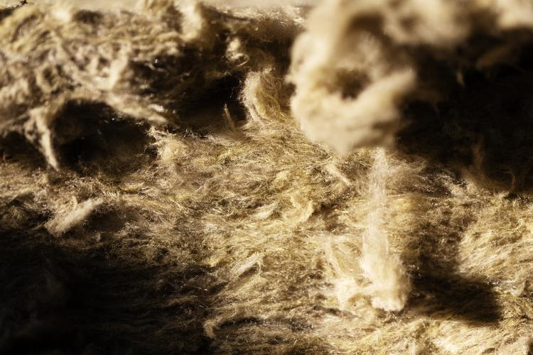 Foto: Thomas Borberg