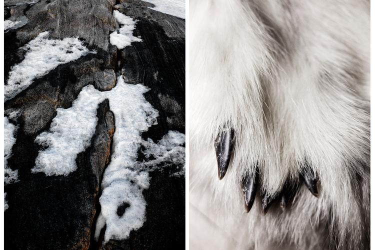 Foto: Martin Lehmann