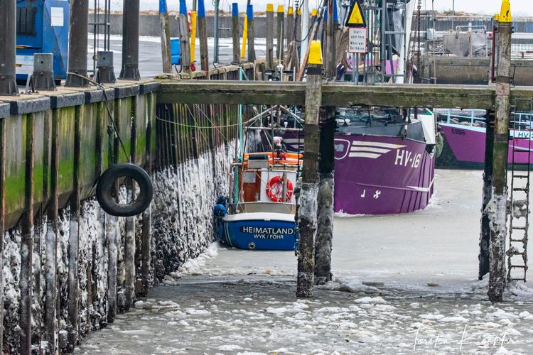 Vandstanden i Rømø Havn var igen onsdag formiddag mere end to meter under det normale.  Foto: Torsten Köhler