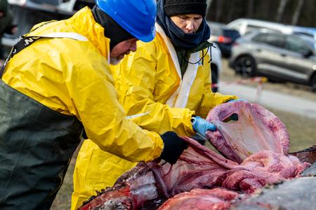 Foto: René Schütze/Ritzau Scanpix