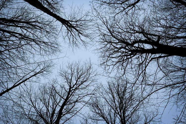    Gåture med en ven, et biblioteksbesøg, en filmaften - enten sammen eller sammen hver for sig - eller en telefonsamtale. Der er mange ting, man kan gøre for at blive vintertristheden kvit. Foto: Jens Dresling