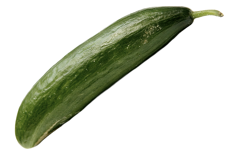 Foto: Thomas Borberg