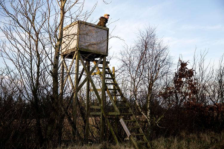 Vildtkød er på mange måder en vinder, lyder det i denne uges brevkasse fra Bente Klarlund Pedersen til en jæger. Foto: Lasse Kofod