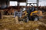 Zokhiruddin Jololiddinov from Uzbekistan spreads hay for the calves at Salsbjerggård near Næstved. He is one of four foreign interns at the farm. The other three are from Brazil. Foto: Jens Dresling