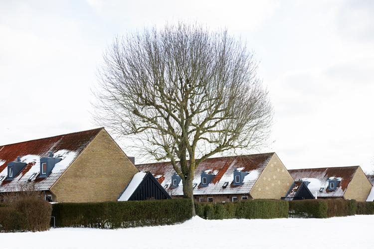 Foto: Thomas Borberg