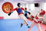 Problemerne i Dansk Taekwondo Forbund har blandt andet resulteret i, at OL-bronzevinder Edi Hrnic er stoppet. Foto: Thomas Borberg