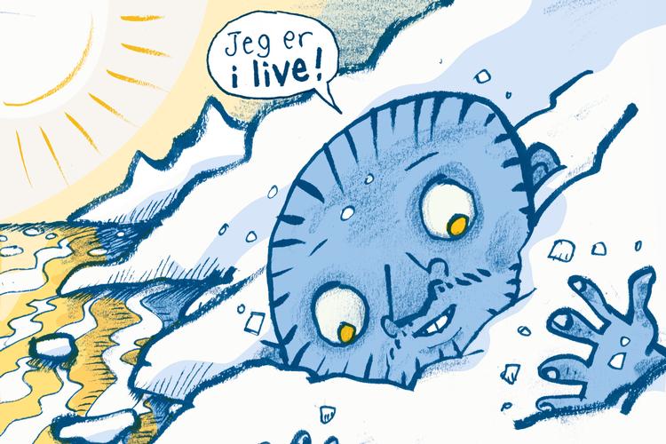 TegningTegning: Claus Nørregaard