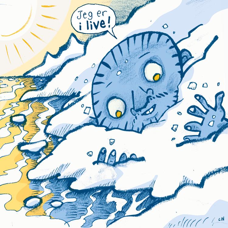 Tegning: Claus Nørregaard