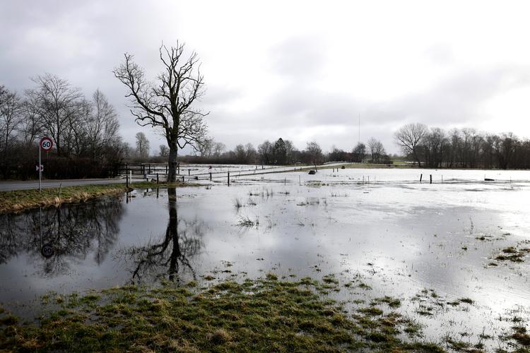 I weekenden bevæger temperaturen sig højere op i plus, end vi har set længe. Det vil smelte sne, og så skal man som husejer være opmærksom på vandet. Her er det oversvømmelser ved Østrup nord for Hedehusene. Foto: Jens Dresling
