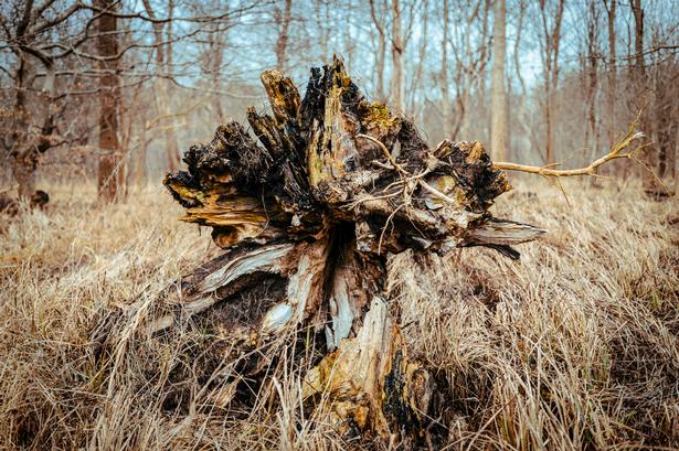 Foto: Miriam Dalsgaard