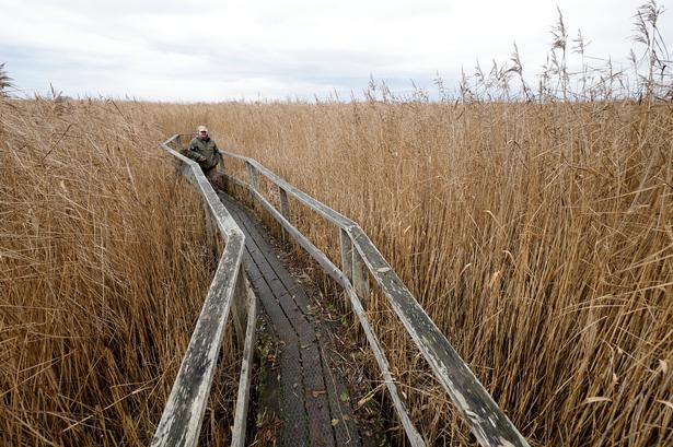 I de store vidder forsvinder hverdagens små bekymringer, og man indser, at man blot er en lille brik i et uendeligt univers, lyder det i denne uges klumme fra Bente Klarlund Pedersen. Foto: Jens Dresling