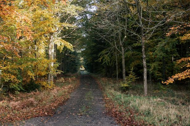 I de store vidder forsvinder hverdagens små bekymringer, og man indser, at man blot er en lille brik i et uendeligt univers, lyder det i denne uges klumme fra Bente Klarlund Pedersen. Foto: Peter Maunsbach