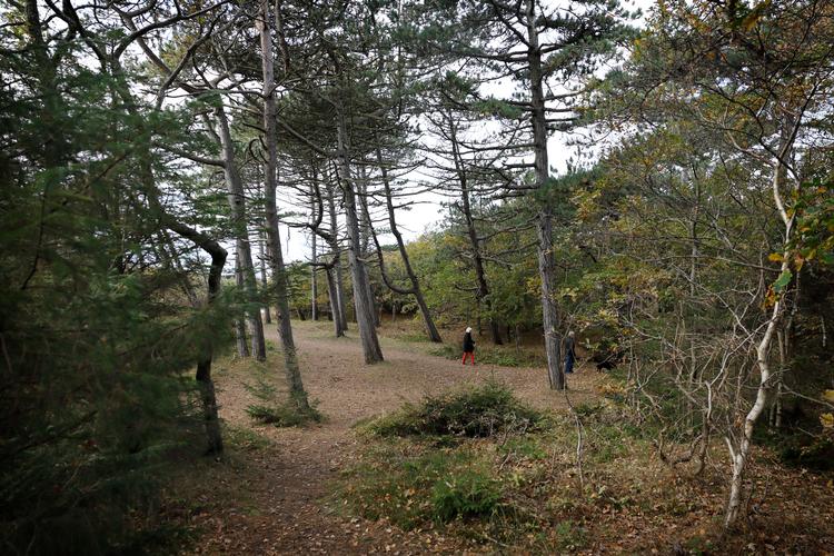 I de store vidder forsvinder hverdagens små bekymringer, og man indser, at man blot er en lille brik i et uendeligt univers, lyder det i denne uges klumme fra Bente Klarlund Pedersen. Foto: Jens Dresling