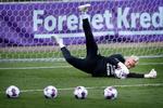 Foto: Jens Dresling (arkiv)
