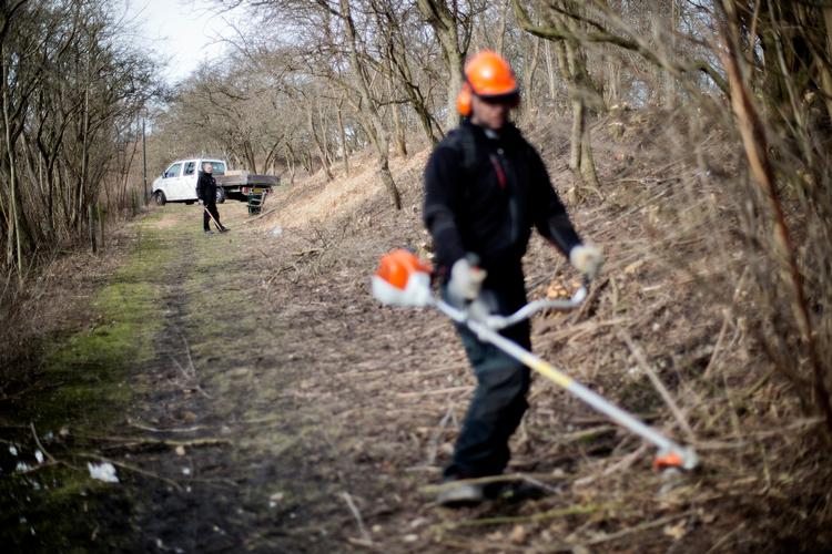 Tilliden til dagpengesystemet er blevet ringere i takt med, at værdien af understøttelsen er blevet lavere og reglerne mere komplekse, viser ny forskningsrapport.  Arkivfoto:  Lars Just