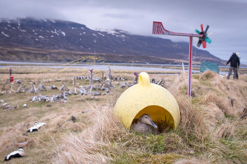 Still fra filmen/CPH:DOX