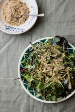 Foto: Anders Schønnemann