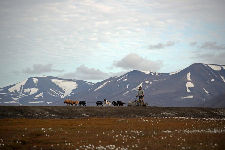 Foto: Hannah Mckay/Ritzau Scanpix