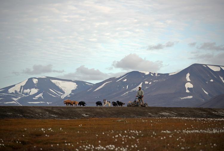 Foto: Hannah Mckay/Ritzau Scanpix