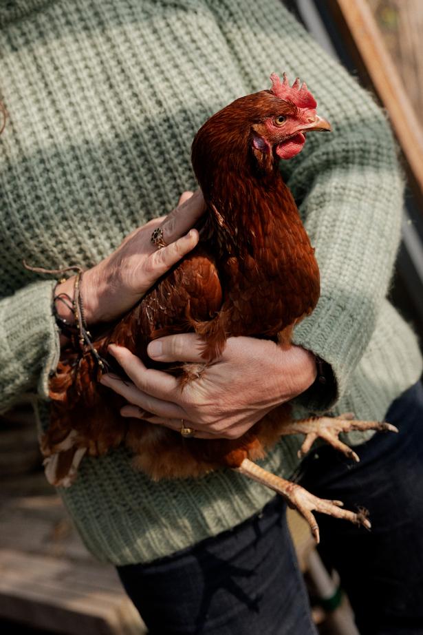 Signe Wenneberg, Alternativet’s lead candidate, at home in Hellerup. Foto: Loui Pedersen
