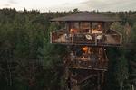 Ranger's Cabin er en af de to nye hytter i trætoppene på Hyssna Forest Resort. Foto: Hyssna Forest Resort