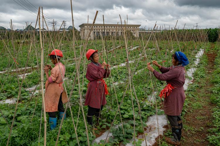 Den lovede stigning i pensionen til Kinas landboer er så ringe, at det har udløst kritik fra flere sider – endda fra medlemmer af Folkekongressen, der ellers blot blåstempler og roser regeringens planer. Foto: Andrea Verdelli/Ritzau Scanpix