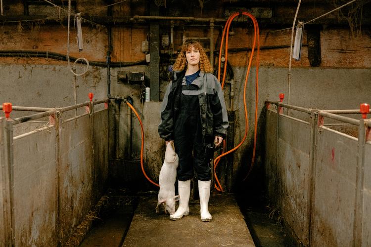 Klara Trebbien Rasmussen tog arbejde i en svinestald for med egne øjne at opleve virkeligheden i den konventionelle svineproduktion. Det har hun nu skrevet en bog om. Billedet er taget på en anden gård, end den Klara Trebbien Rasmussen arbejdede på.  Foto: Peter Maunsbach