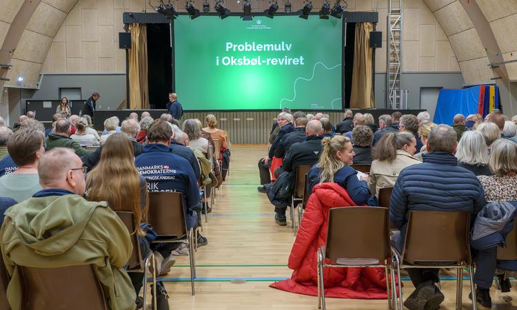 Torsdag var der borgermøde i Oksbøl om ulve, der har været opsøgende overfor mennesker i og omkring Oksbøl. Foto: John Randeris/Ritzau Scanpix