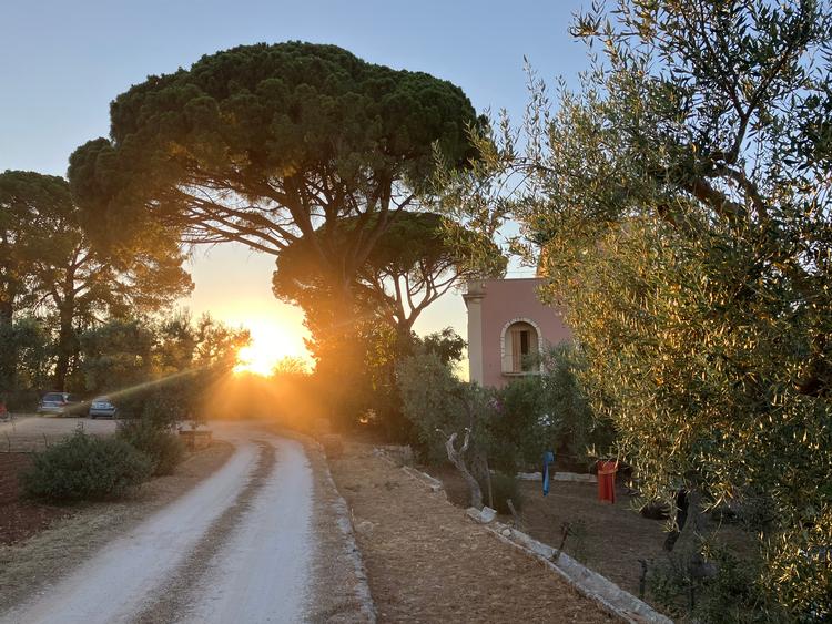 Når solen går ned over gården, bliver langbordet sat frem. Foto: Søren Sorgenfri