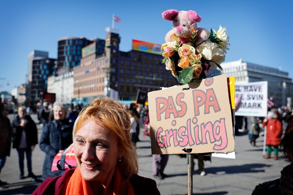 Foto: Jens Dresling