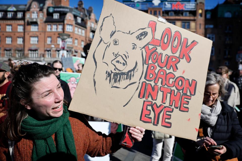 Foto: Jens Dresling