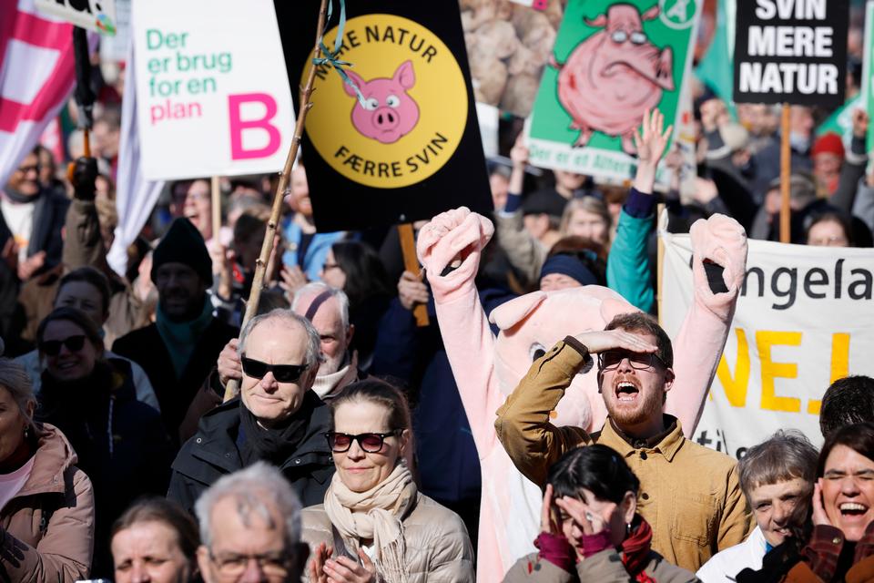 Foto: Jens Dresling