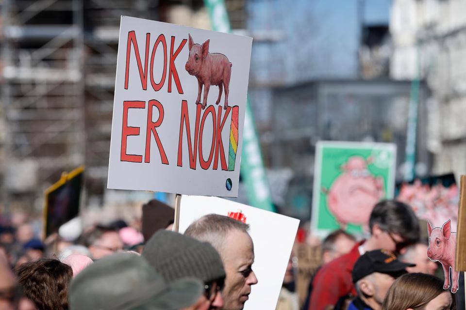 Foto: Jens Dresling