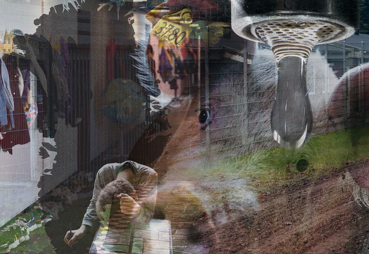 Originalfoto: Loui Pedersen, Finn Frandsen, Jens Dresling, Marius Renner. Illustration: Karina Kofoed 