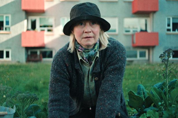 Det er på eget ansvar, hvis du ikke passer på Trine Dyrholms have.  Foto: DR 