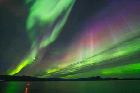 There are good chances of seeing the Northern Lights in northern Norway in November, where Snälltåget is now launching a new overnight route. Foto: David Jensen/jensenmedia