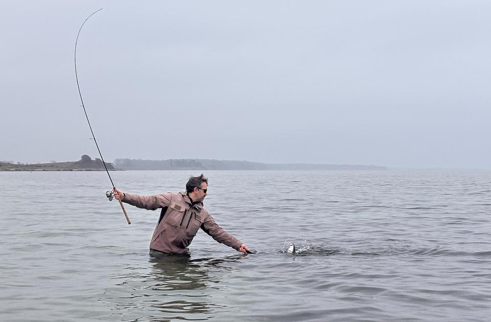 Kom med indenfor i nørdernes paradis i en spejderhytte tæt på en kyststrækning