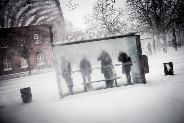 Arkivfoto:  Ditte Lysgaard Holm