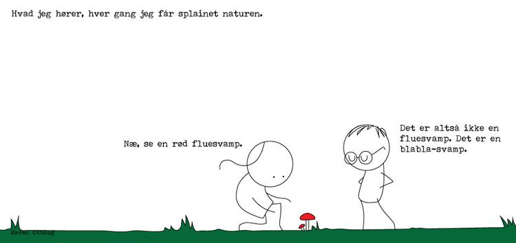 web_maren_2026-04-11