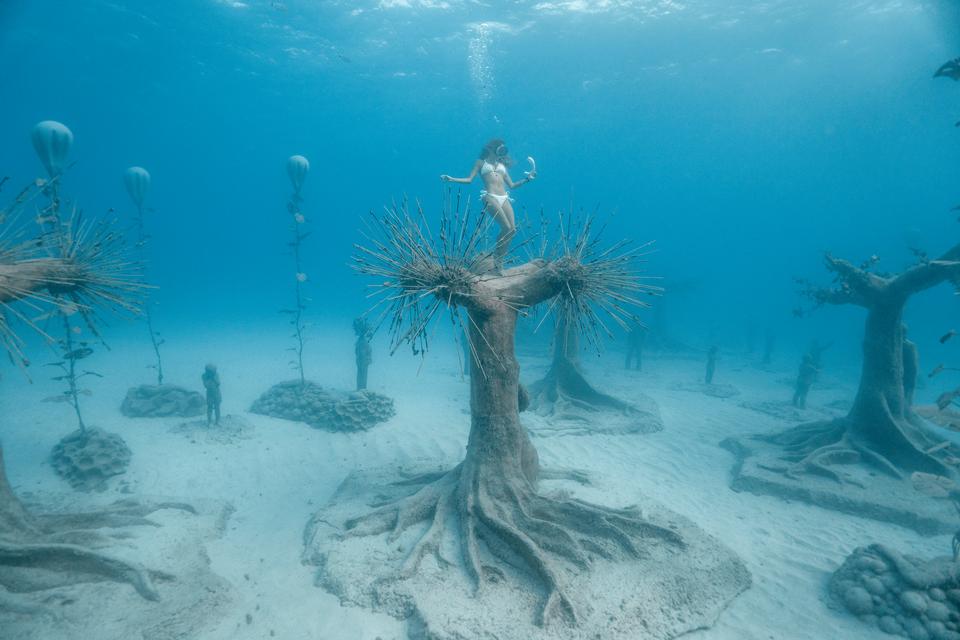 Det undersøiske museum er ikke kun en smuk blå skov. Det er også urovækkende