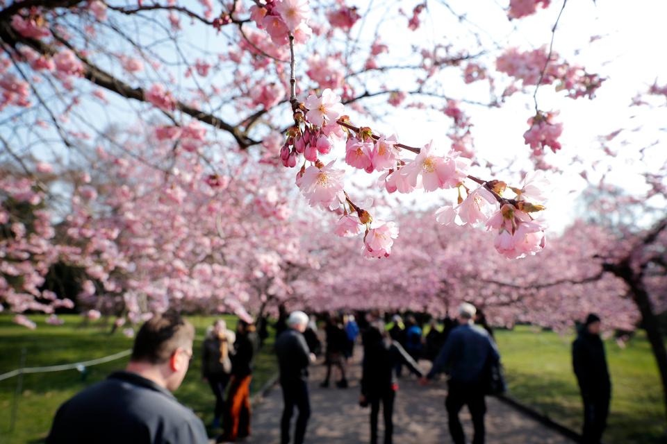 Årets hidtil varmeste dag kan vente i weekenden