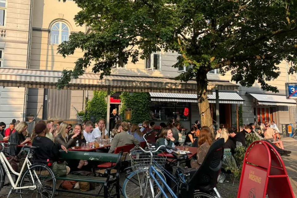 Lille Musling/PR